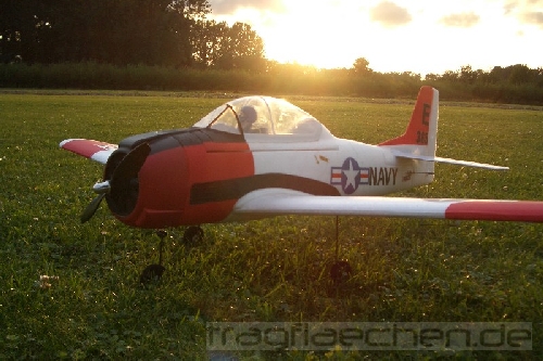 2008_Parkzone_T28_027.jpg