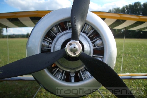 2008_eflite_pitts_120.jpg